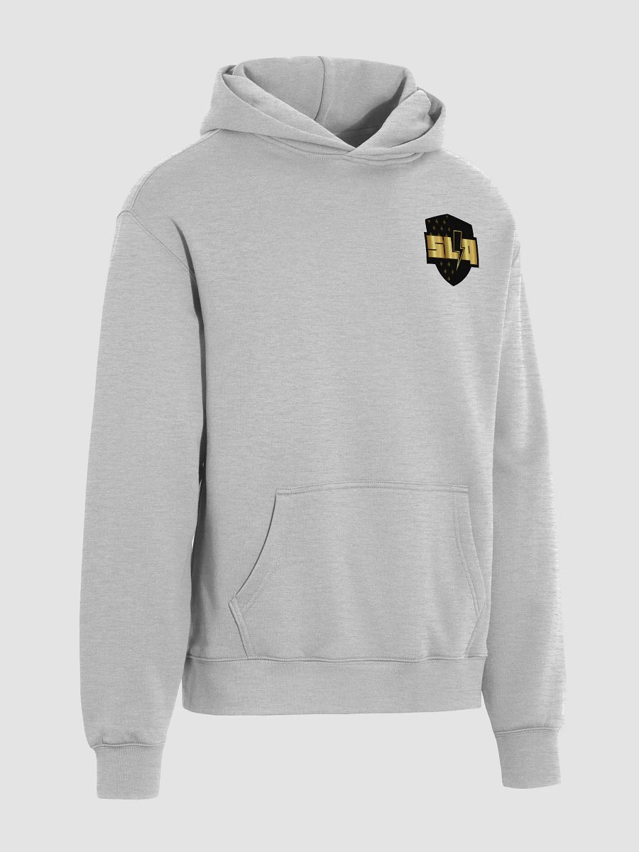 Hoodie SLQ gris Homme product image (4)