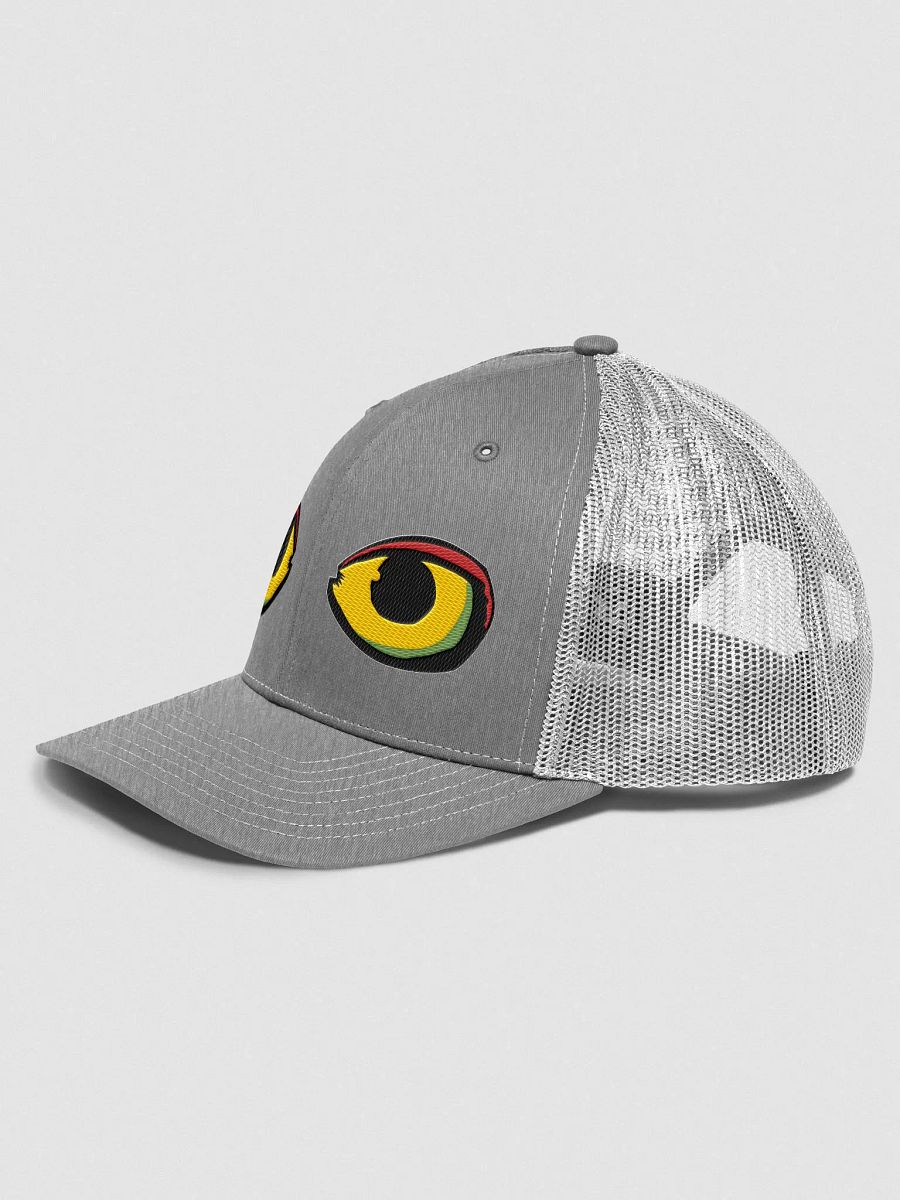 VISION TRUCKER product image (2)