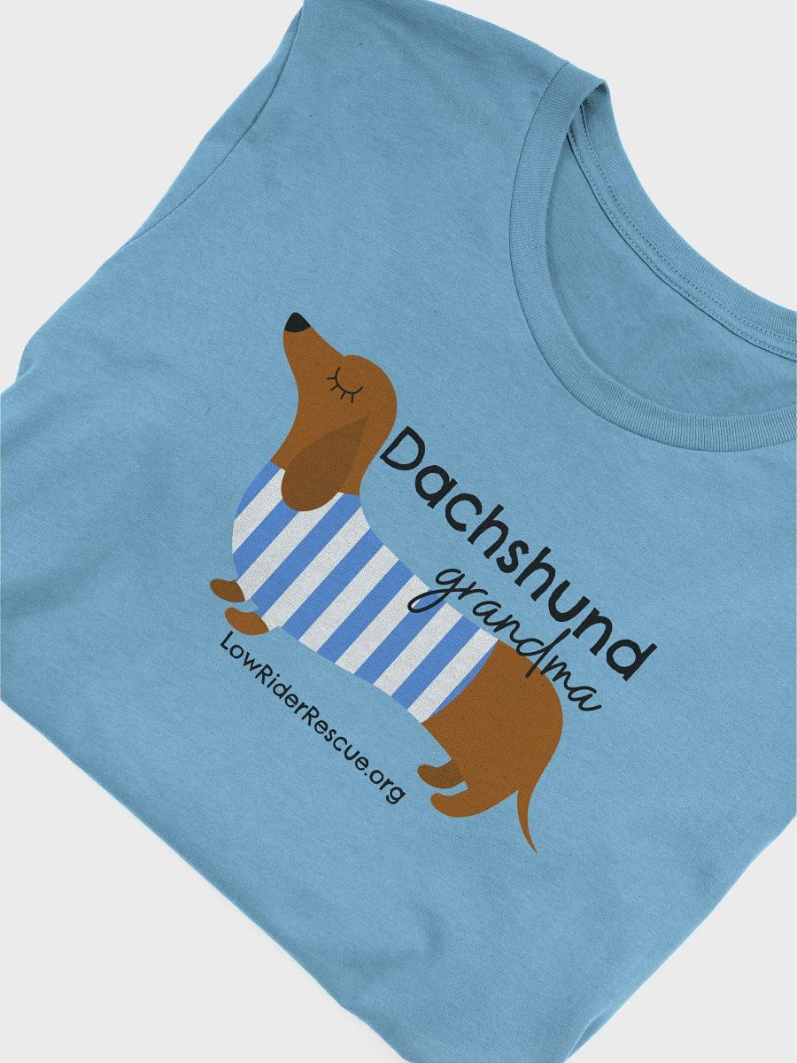 Dachshund Grandma T2 product image (1)
