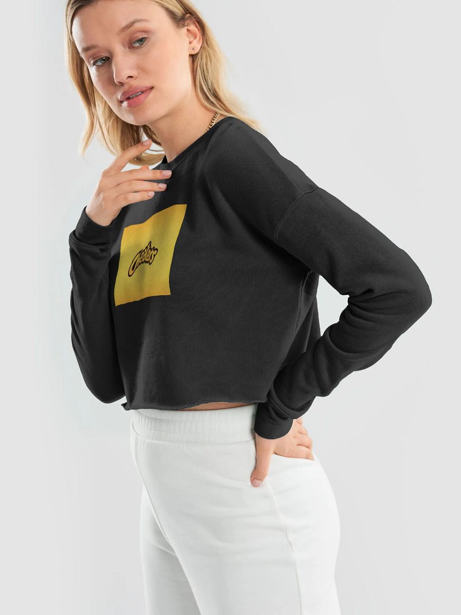 Cheaters Fleece Crop Sweatshirt product image (48)