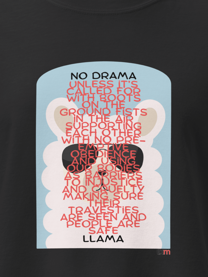 Drama Llama LKM Boxy Tee product image (2)