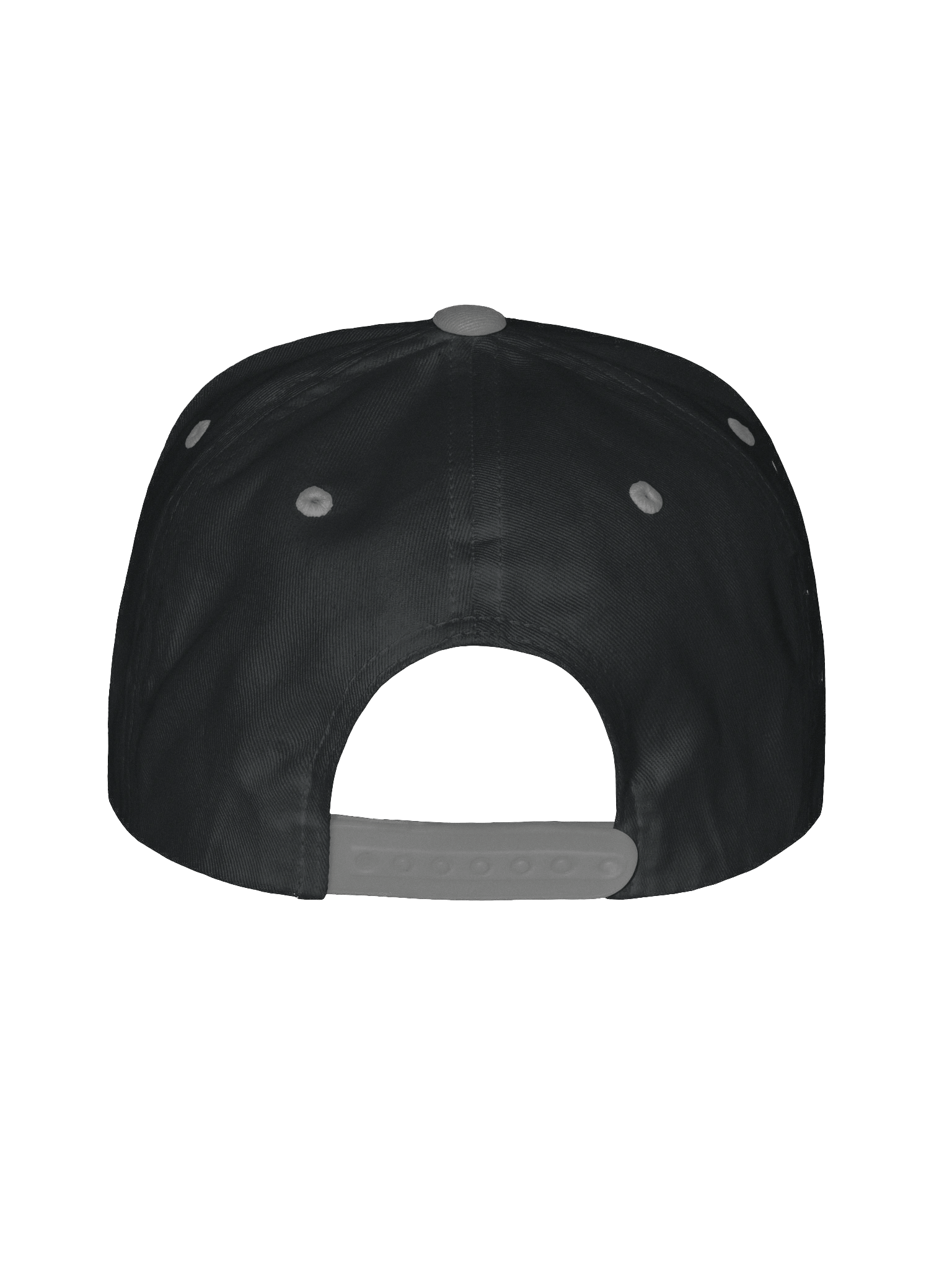 Fish Lunch Snapback product image (24)