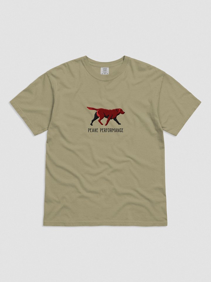 Peake Performance T-Shirt(Embroidered) of a Chesapeake Bay Retriever(Brown) product image (1)