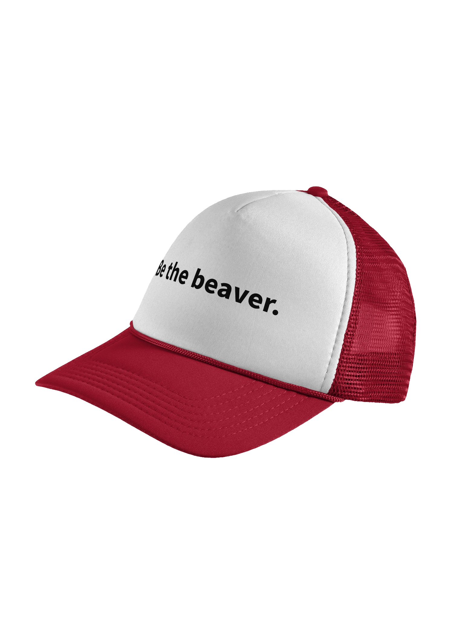 Sandstone & Stick - Be the beaver hat product image (3)