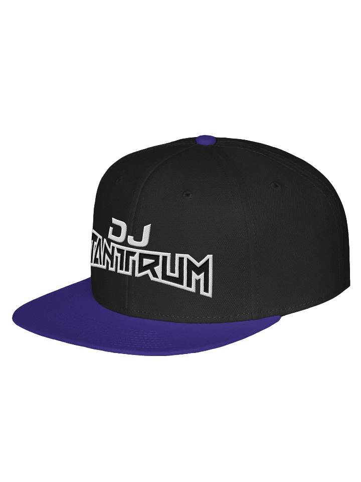 DJ TanTrum Snapback (Trimmed Logo) product image (34)
