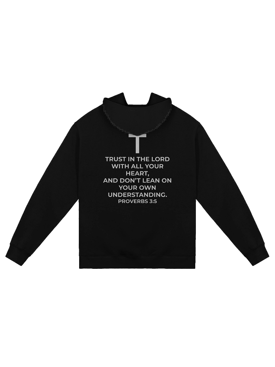 Proverbs 3:5 Eclipse Oversized Hoodie product image (19)