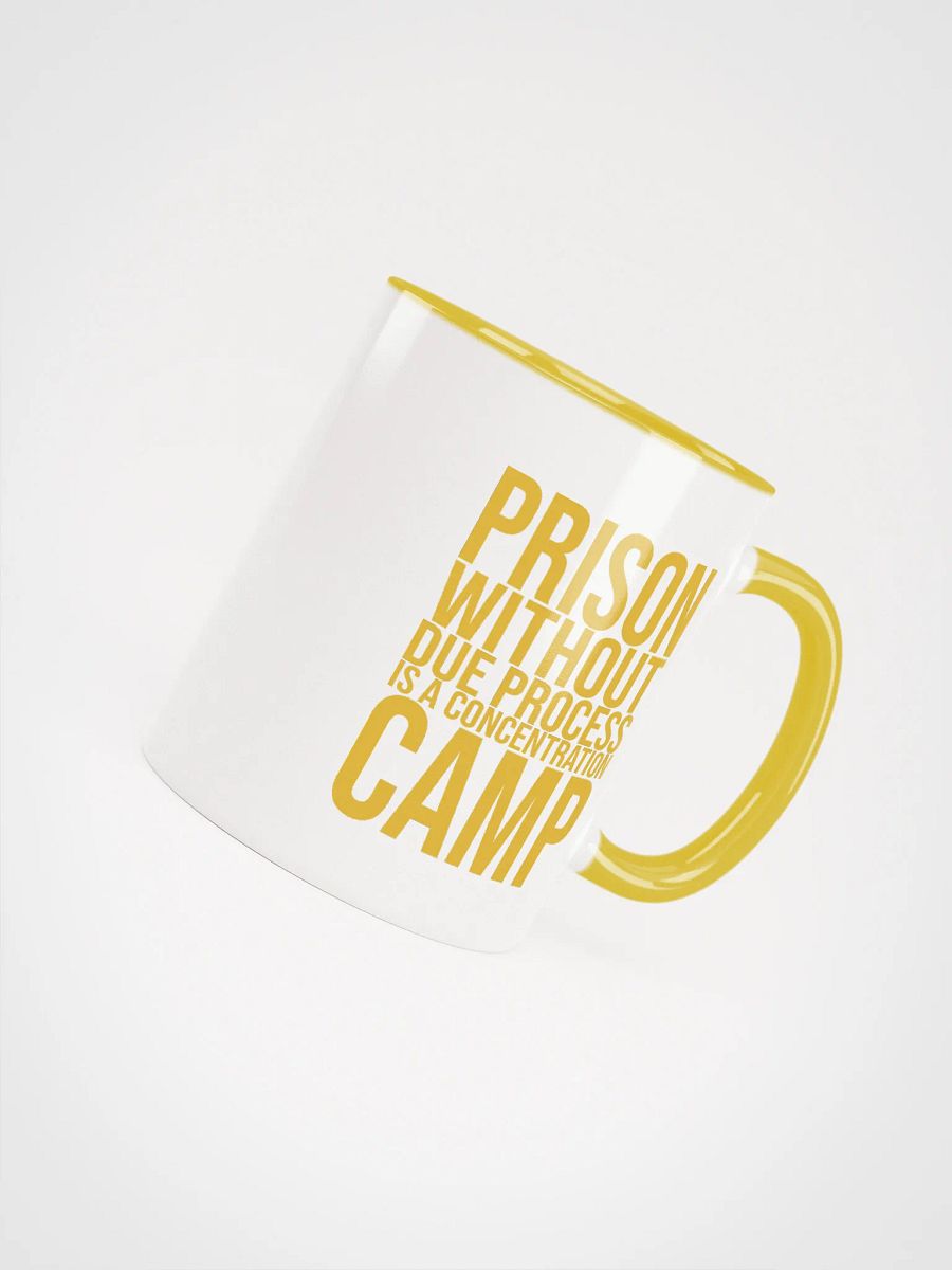 Due Process Concentration Camp Mug- Being Liberal product image (4)