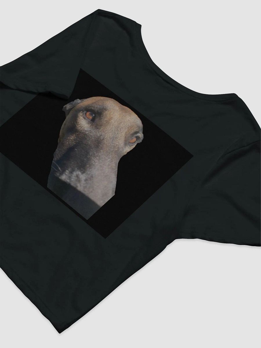 Soulful Pup Women's Crop Tee Malinois Tina product image (6)