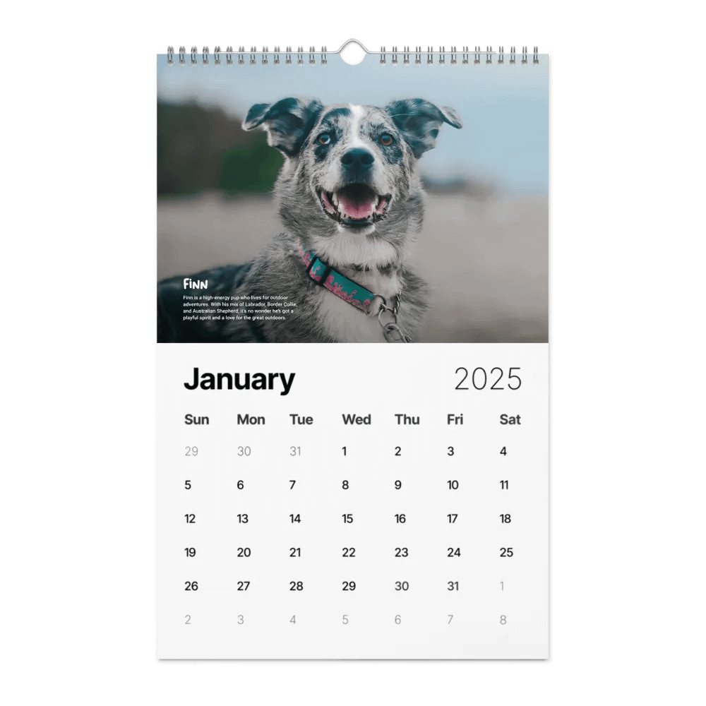 Official 2025 Calendar product image (6)
