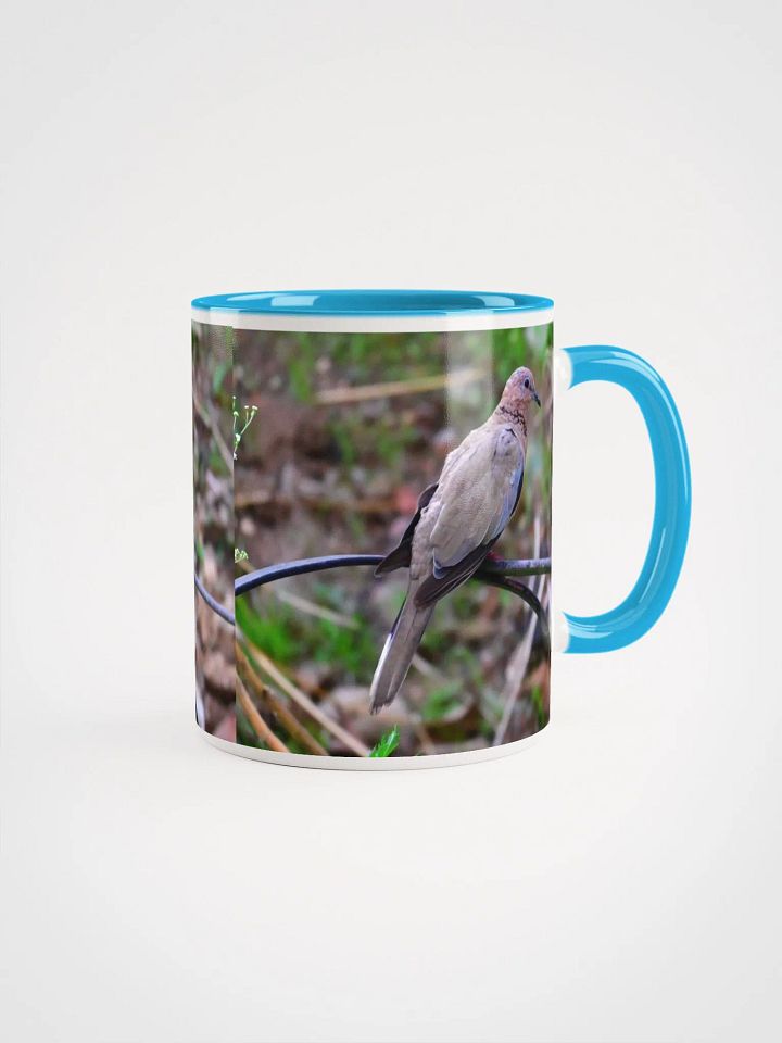 IUCAA Birds MUG product image (1)