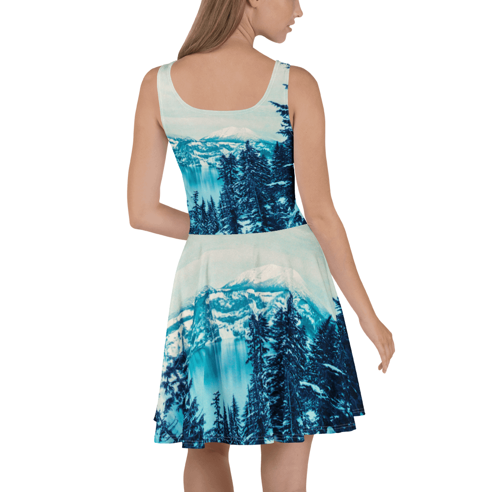Crater Lake Lomopurple Skater Dress product image (4)