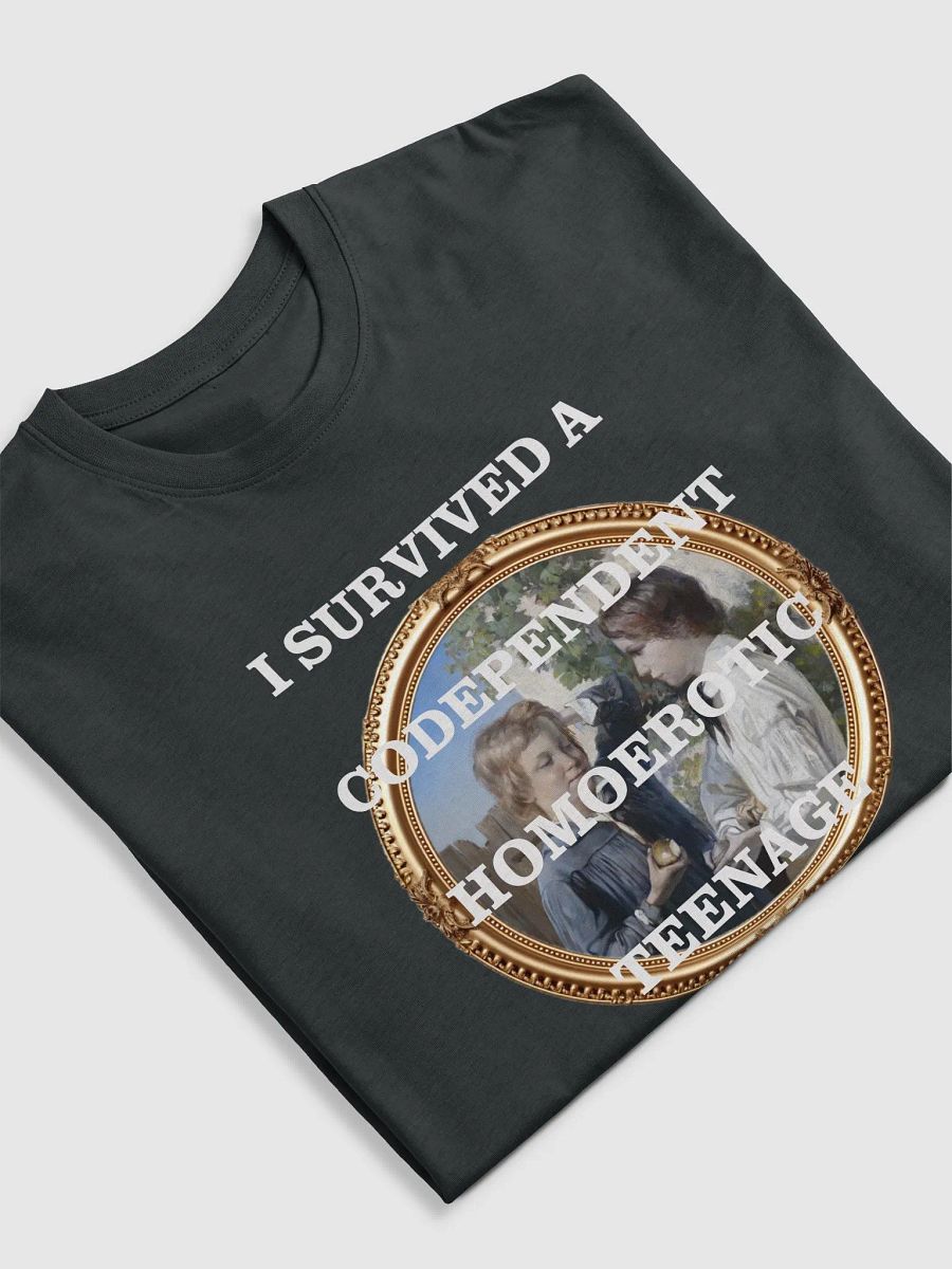 Codependent Homoerotic Teenage Friendship Framed Heavyweight T-Shirt product image (5)