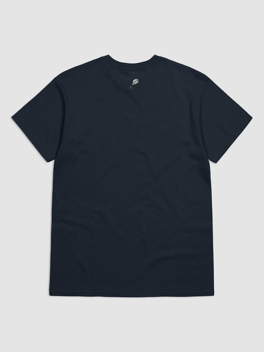 Do Not Disturb: Introvert in Recovery Shirt product image (2)