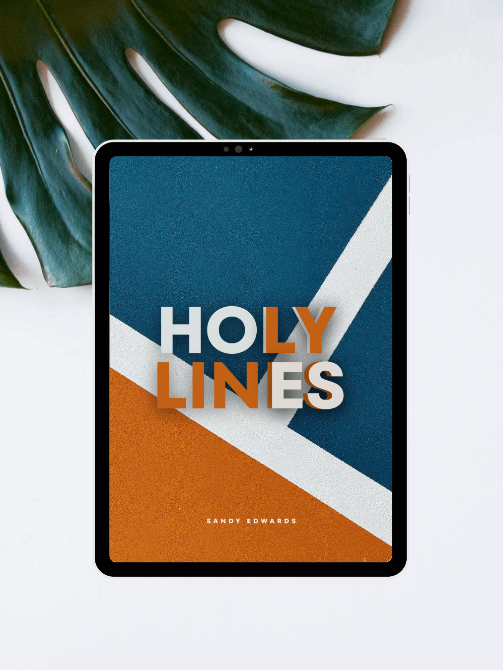 Holy Lines: Resolving The Tension Between Love and Grace E-book product image (1)