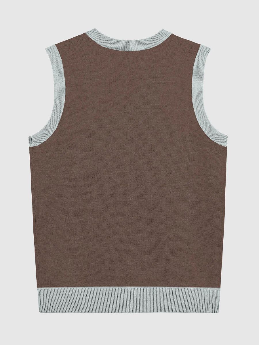 PLEASE DON'T MAKE ME TALK (light blue and brown) knitwear vest product image (8)