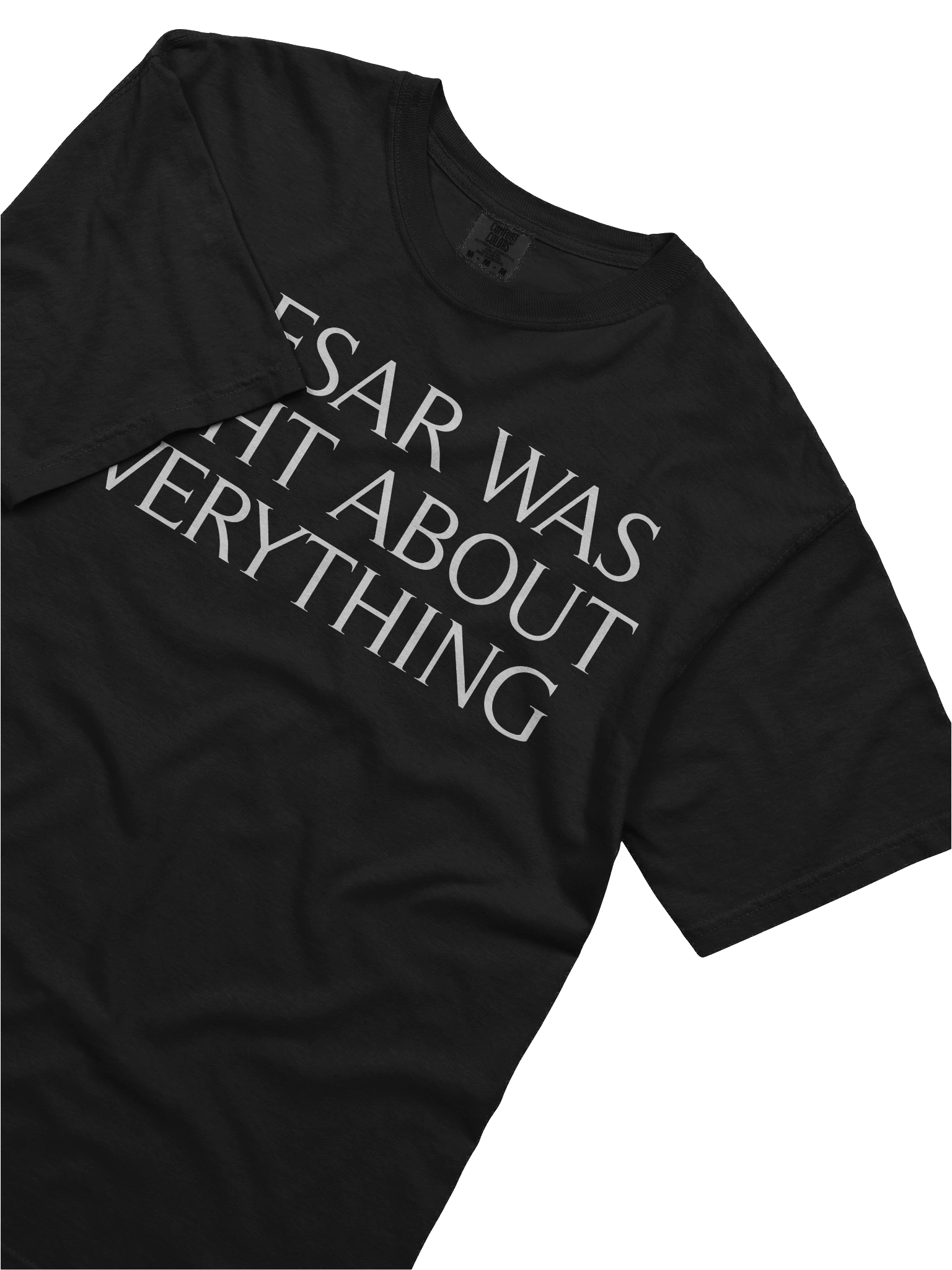 Caesar Was Right About Everything Shirt! product image (25)
