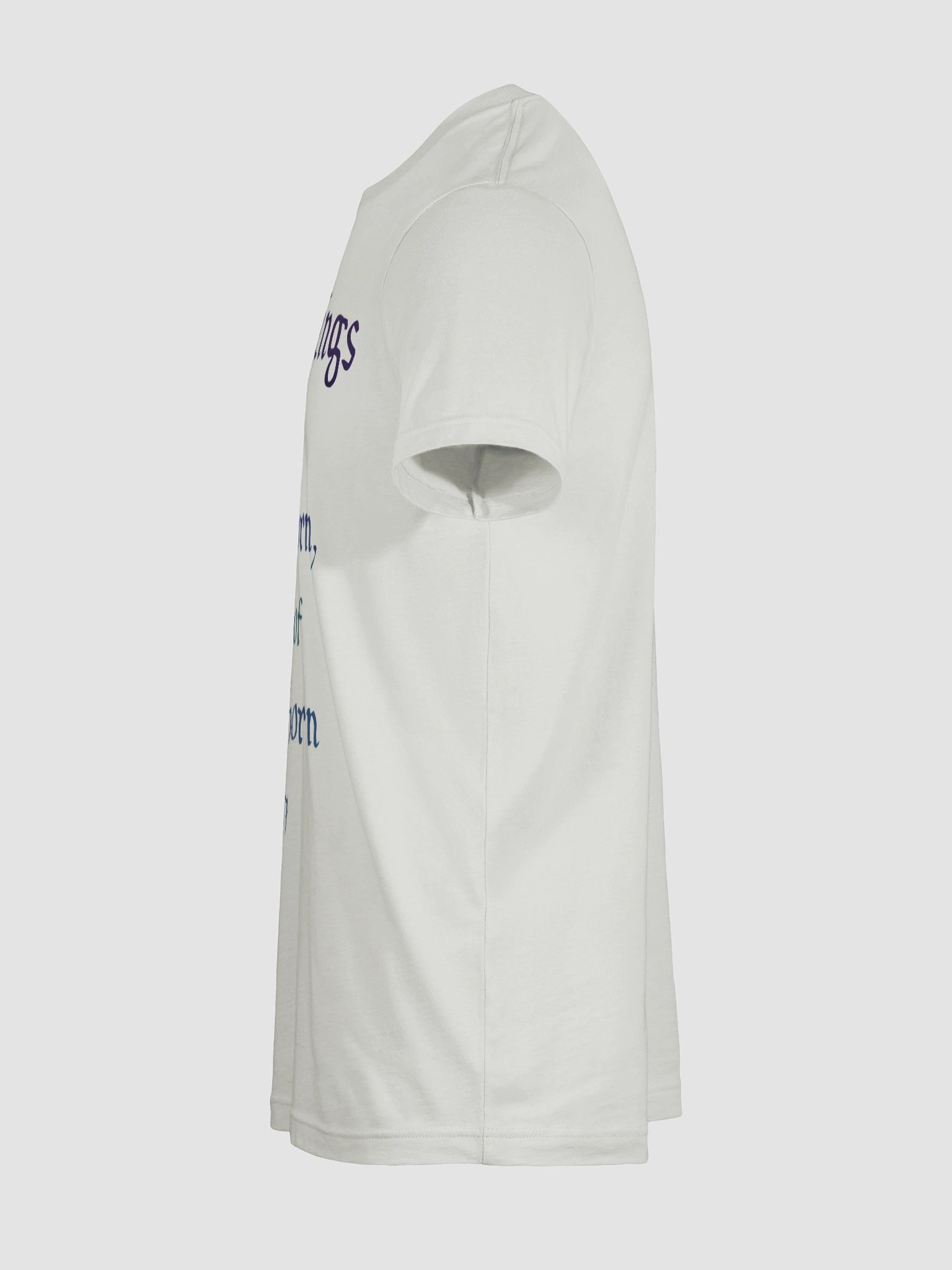No Kings (light variant) Straight-Sided T-Shirt product image (11)