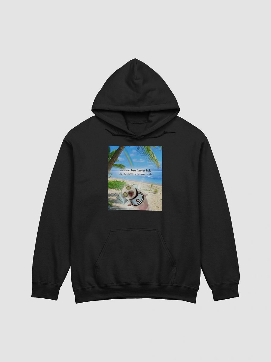 no storm lasts forever (hoodie) product image (1)