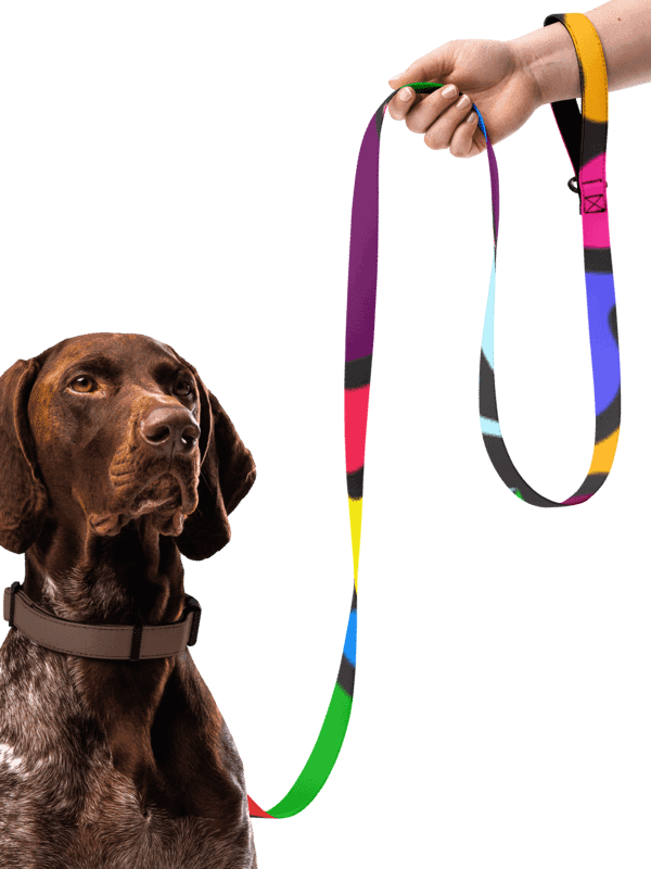 Vibrant Stripes Custom Pet Leash - Wave at Sunset product image (2)