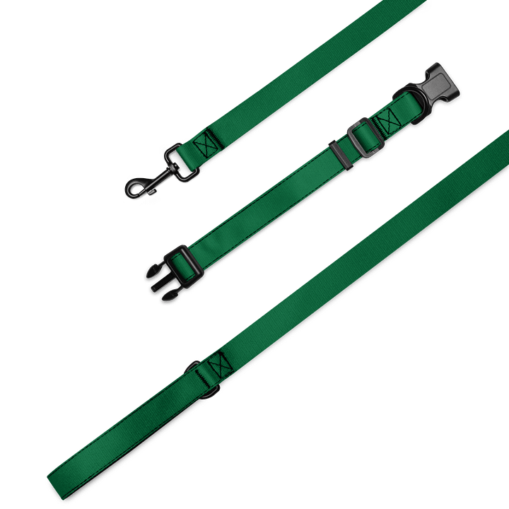 Lucky Dog Green Pet Collar & Leash Set 02 product image (1)