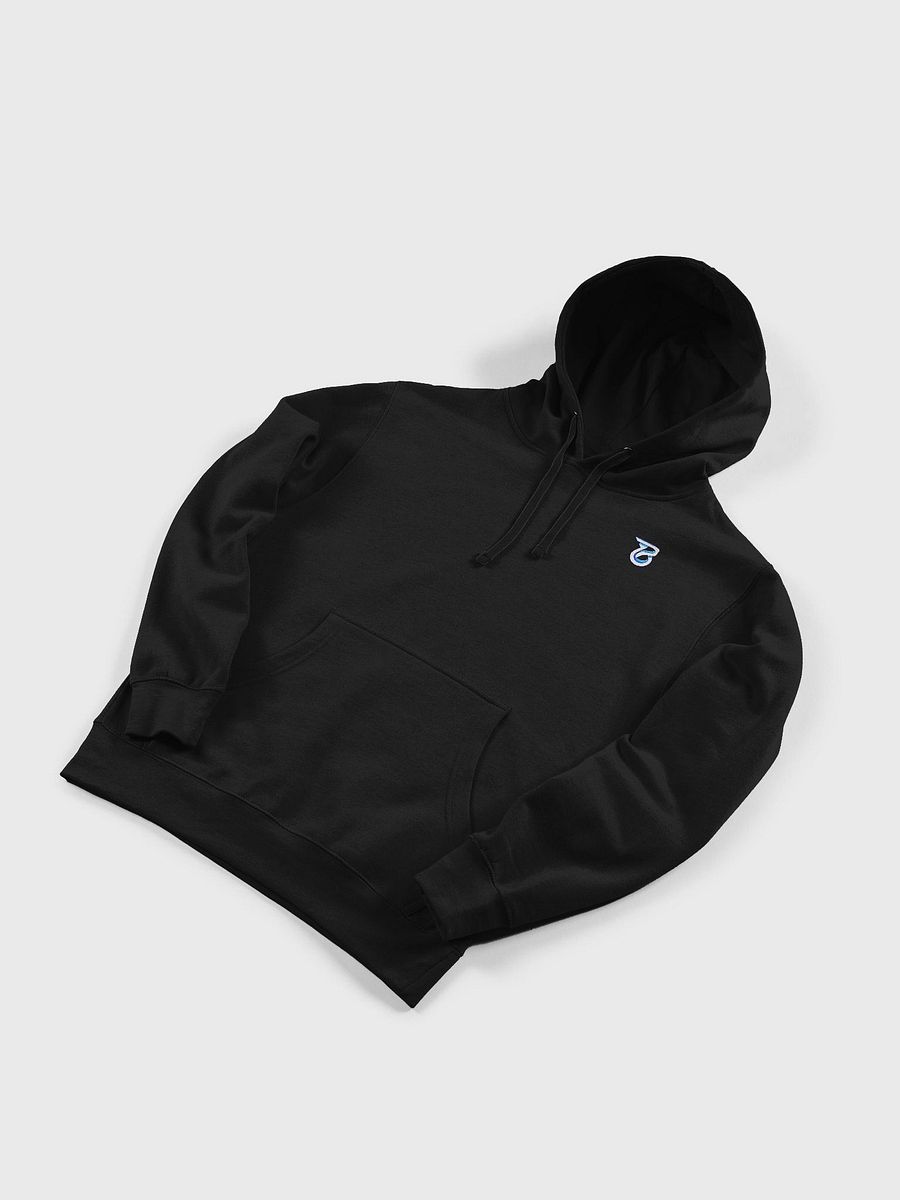 EMBROIDERED LOGO HOODIE product image (3)