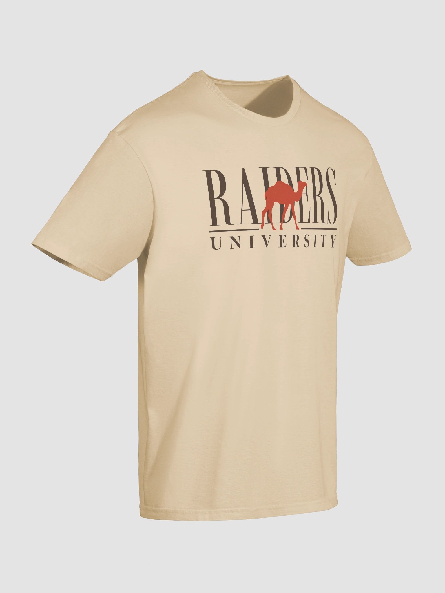 Raiders University Tee product image (10)