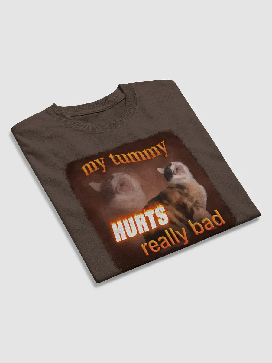 My Tummy Hurts Really Bad - Cat T-shirt product image (3)