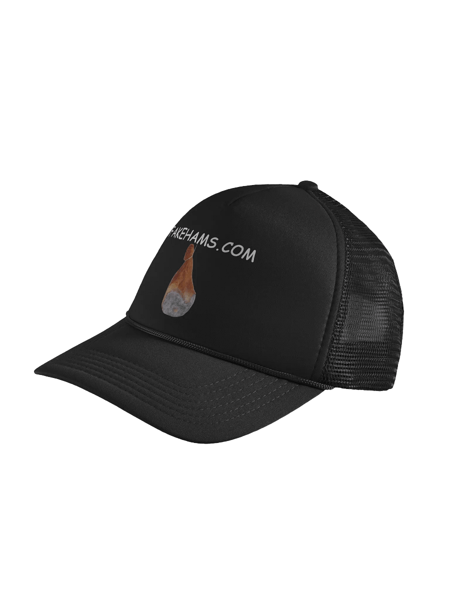 Fakehams.com Hat product image (4)