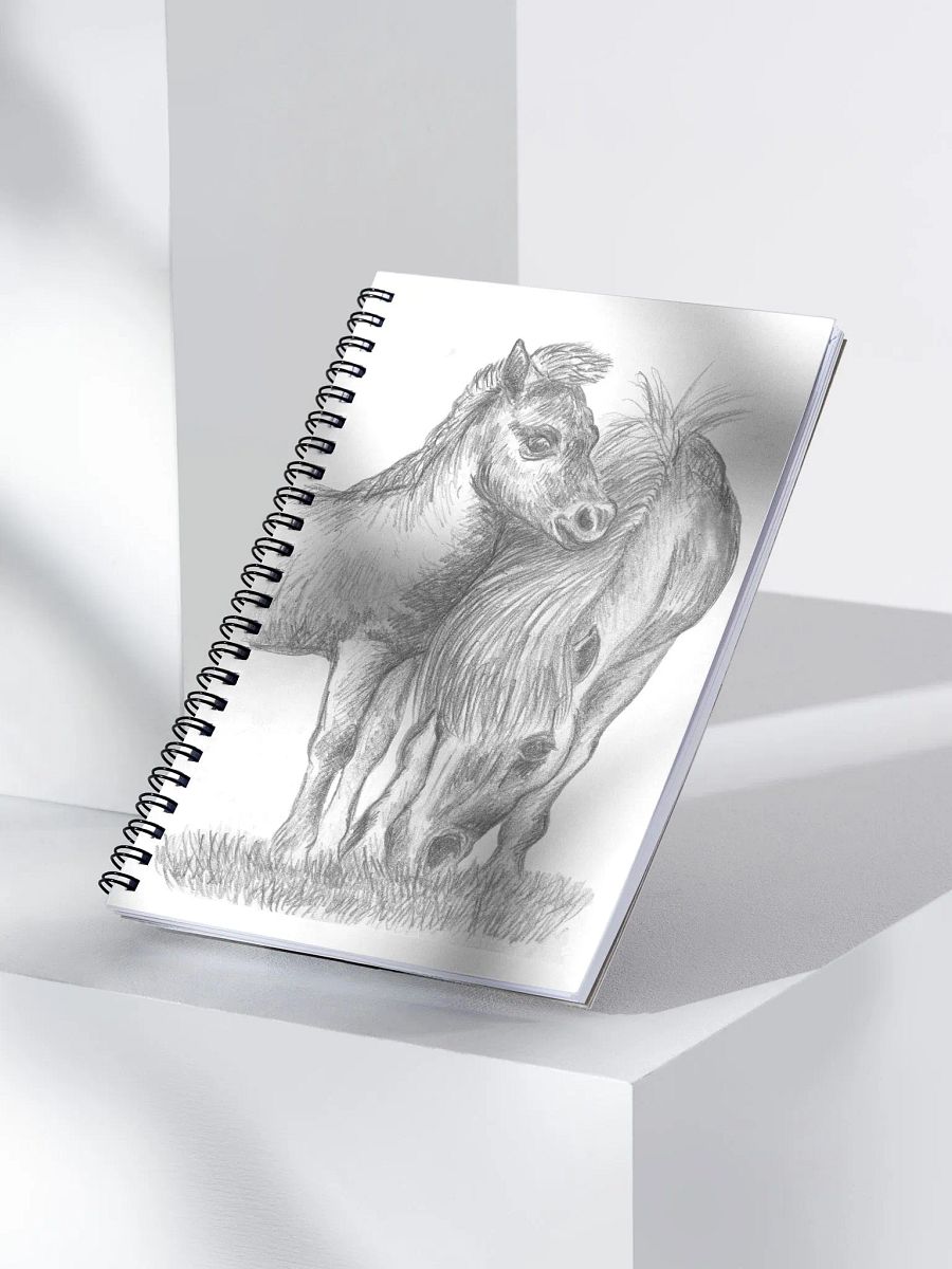 Shetland pony and foal Journal product image (3)