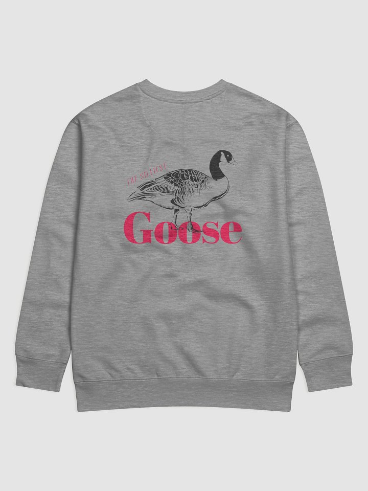 The Silliest Goose product image (1)