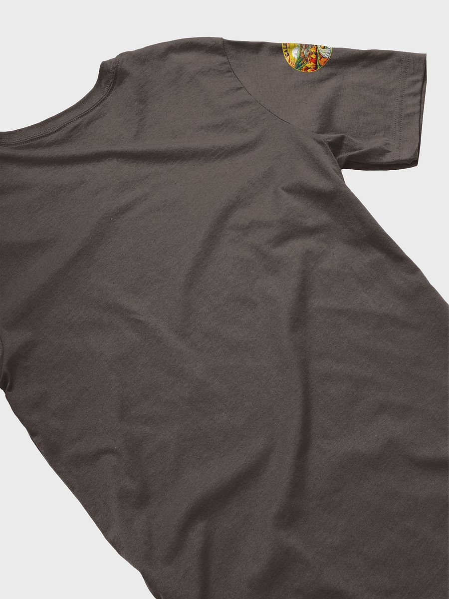 Galena Illinois Autumn Vibes Tee product image (4)