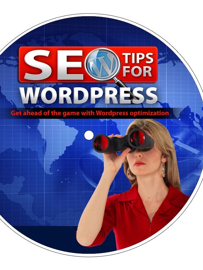 SEO Tips for Wordpress product image (3)