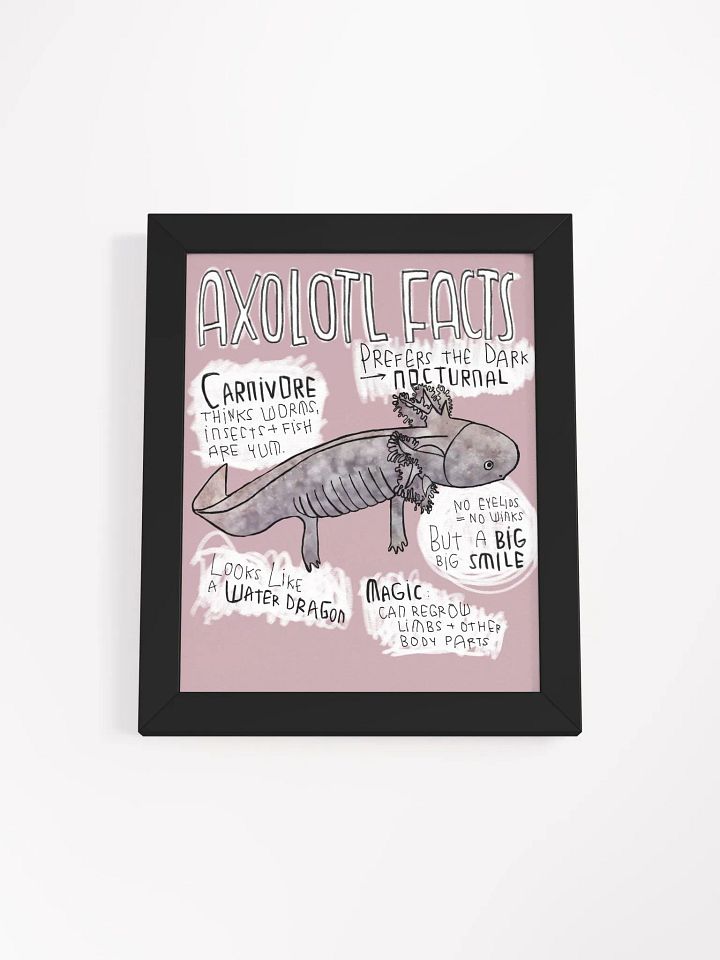 Axolotl Fun Facts, Axolotl Trivia product image (2)