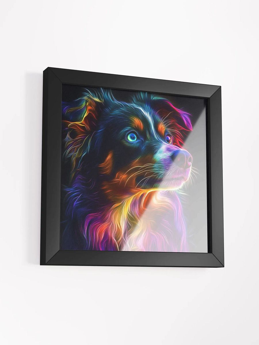 Australský ovčák, zářící product image (39)