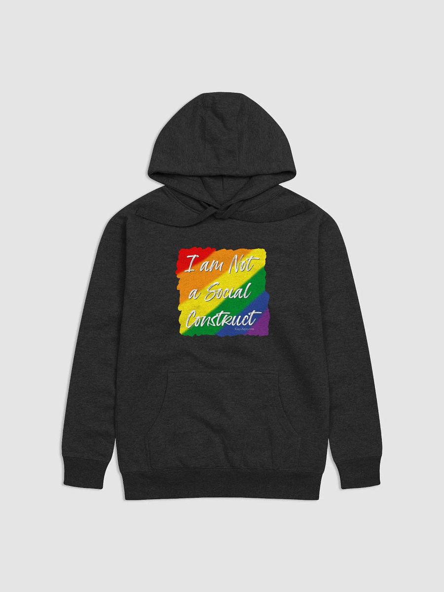 I am Not a Social Construct - Pride 2 - Hoodie product image (1)