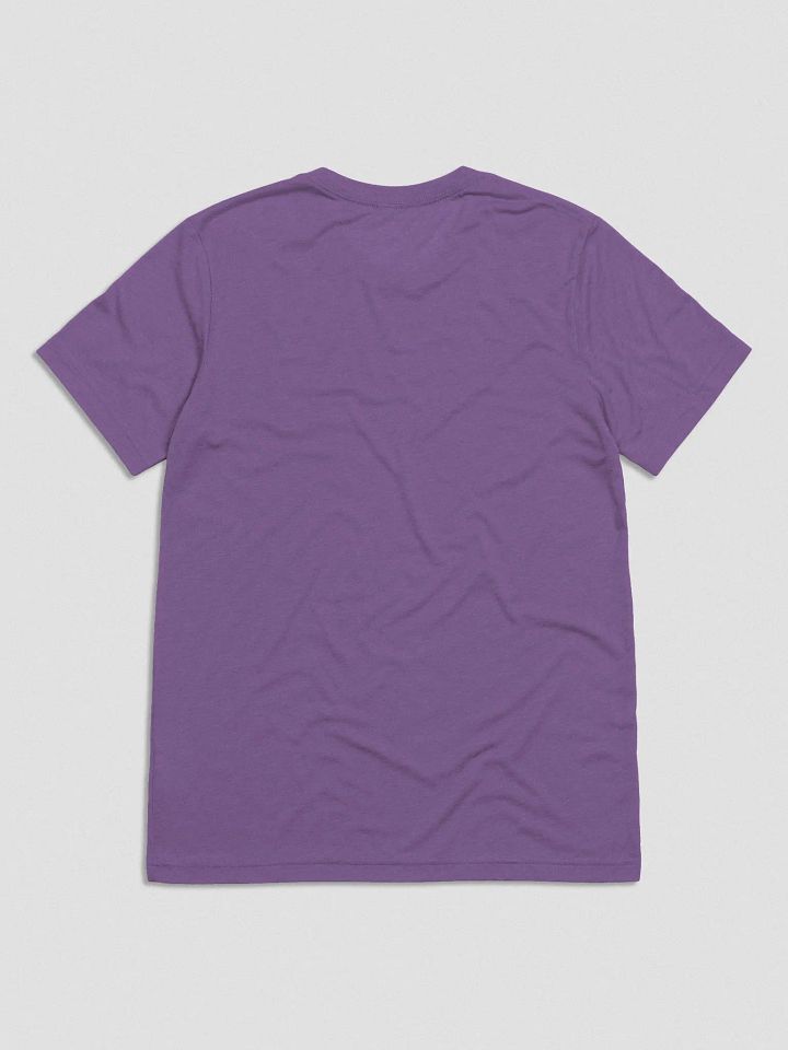 The Streaming Collective - Bella+Canvas Triblend Short Sleeve T-Shirt product image (24)