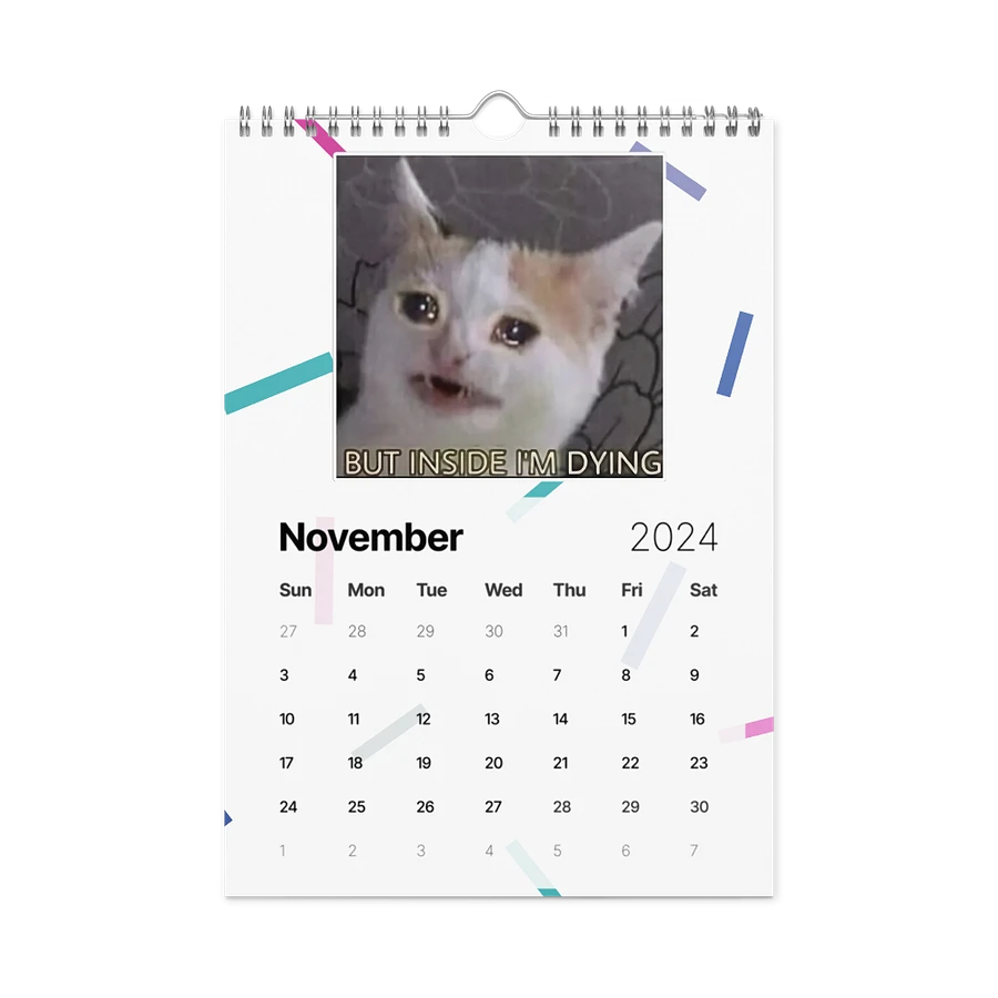 Wall Calendar (2024): Meme Cats product image (15)