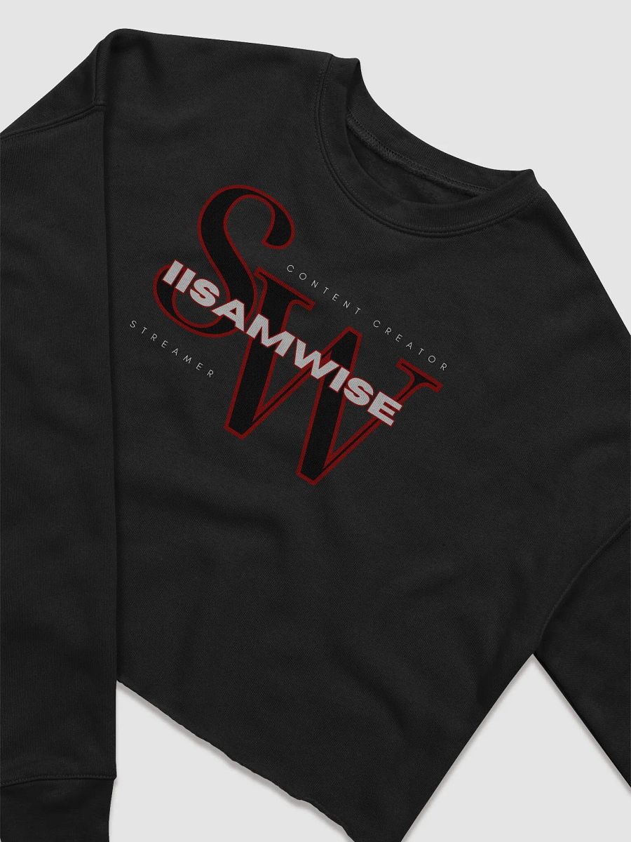 Large Logo Cropped Sweatshirt product image (11)