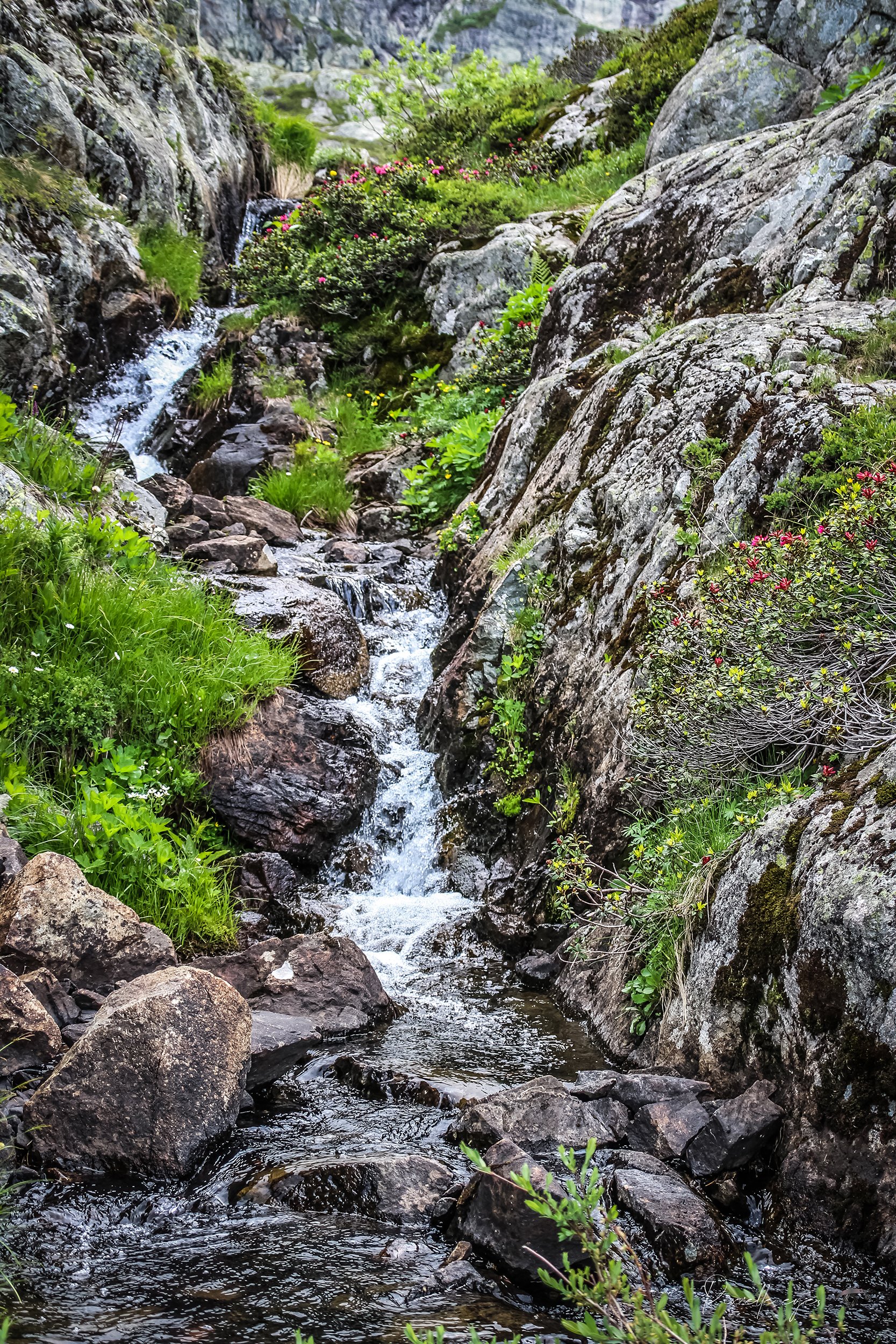 Fine Art Photography – Alpe d'Huez – Whispering Stream product image (1)