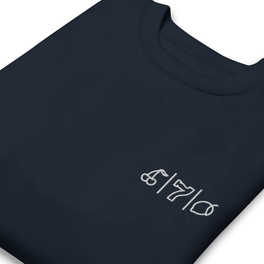 Cdog Spins Sweatshirt Embroided Navy product image (11)