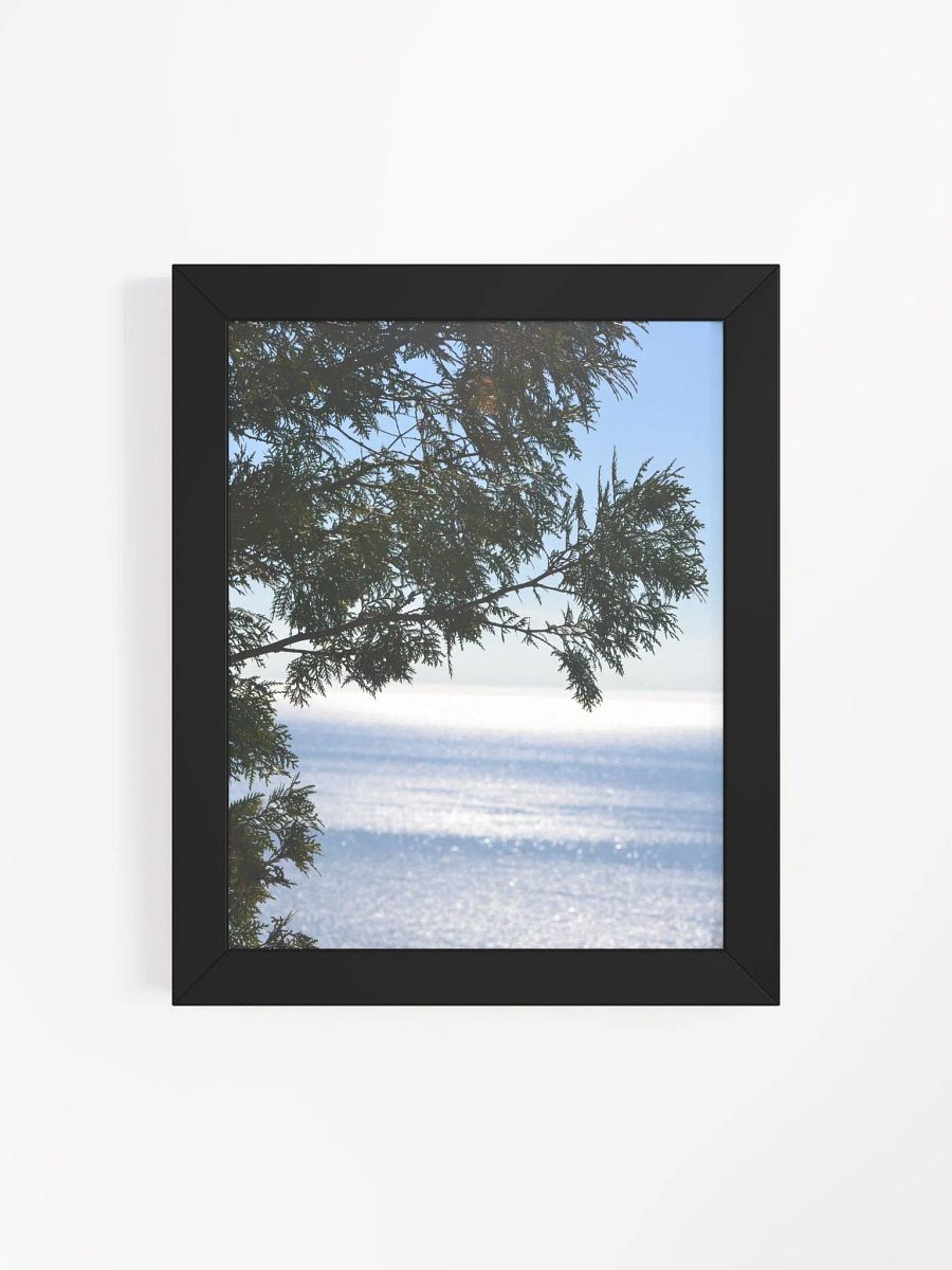 Pine and Water High Quality Matte Poster product image (4)