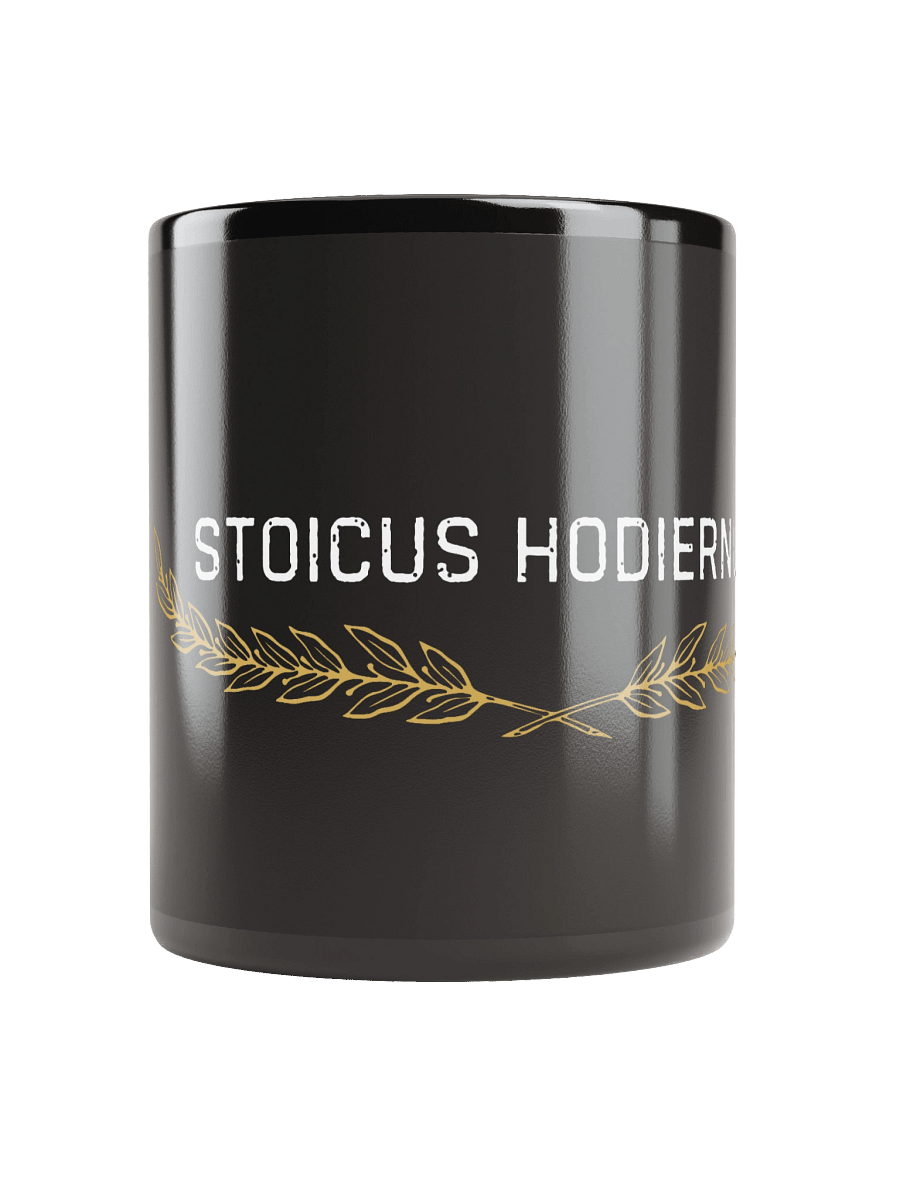 Stoicus Hodiernus Mug product image (10)