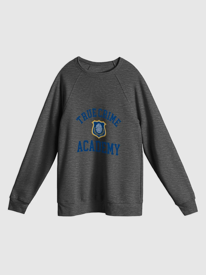 True Crime Academy Pullover Sweatshirt - Dark Grey product image (1)