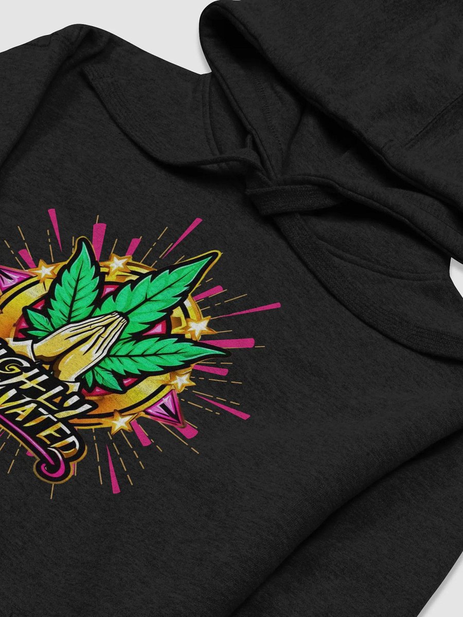 High-ly Motivated Addicted To The Ministry Unisex Hoodie product image (3)