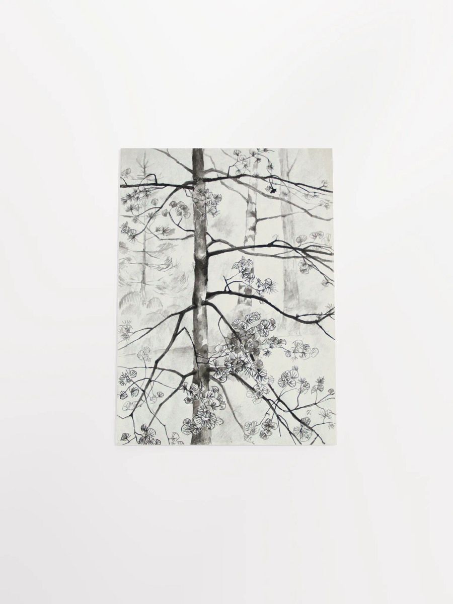Young Pine Tree Sketch Poster - Young Pine Tree product image (4)