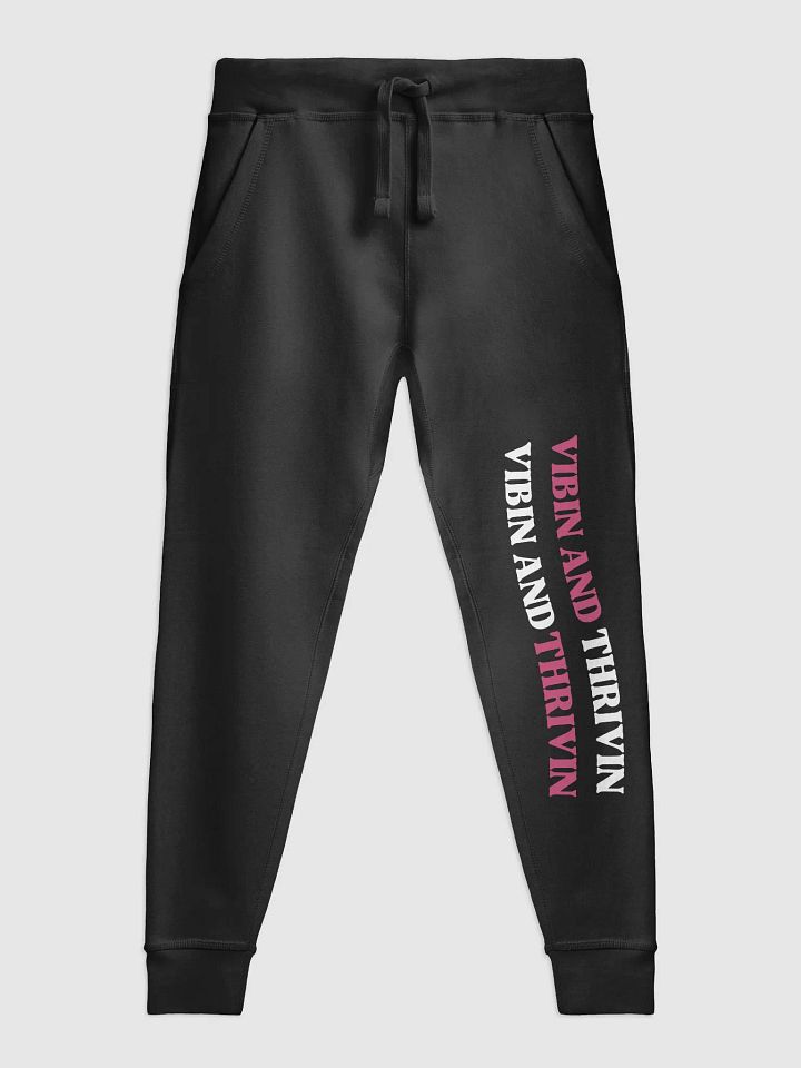 SK8's Vibin and Thrivin Sweat Pants product image (3)