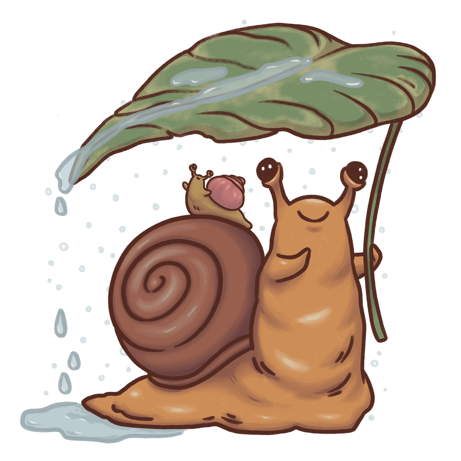 sticker : snail shelter product image (1)