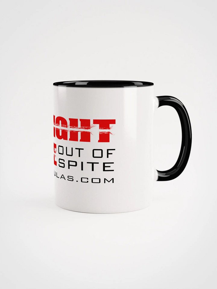 Stay in the Fight, Live Out of Spite - Mug product image (2)