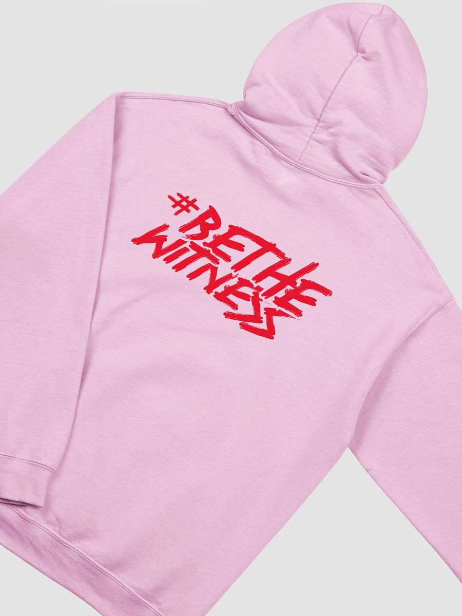 LNW Classic Hoodies product image (6)