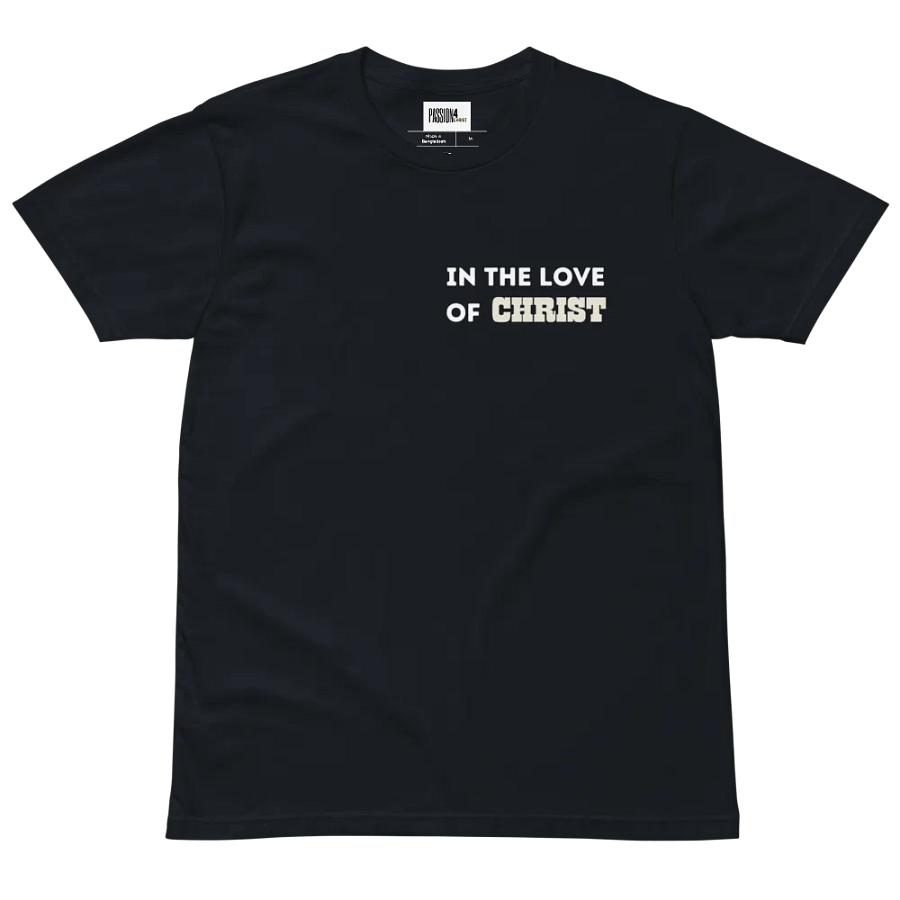 In the love of Christ I stand unisex T-shirt product image (5)